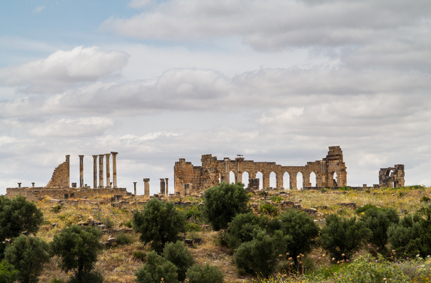Ruins at Volubilis Morocco - Фото, изображение