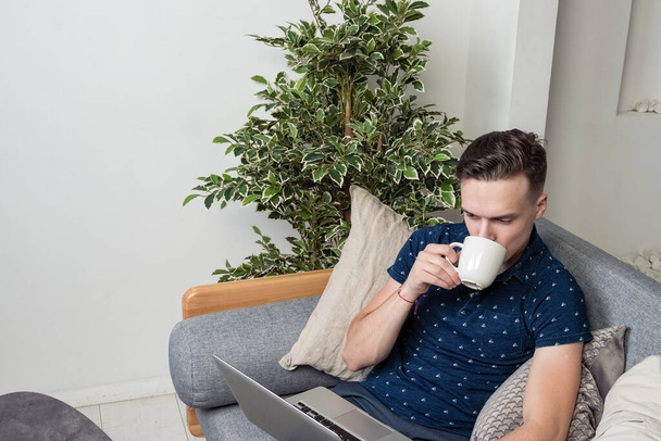 Young happy freelancer working with laptop while sitting on couch - 写真・画像