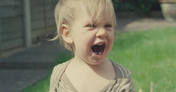 Um menino da criança pequena bonito e atrevido tem comido o solo no jardim e está gritando
 - Filmagem, Vídeo