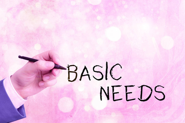 "Conceptual hand writing showing Basic Needs". Texte photo d'affaires quelque chose que vous devez avoir afin de soutenir ou de vivre la vie
. - Photo, image