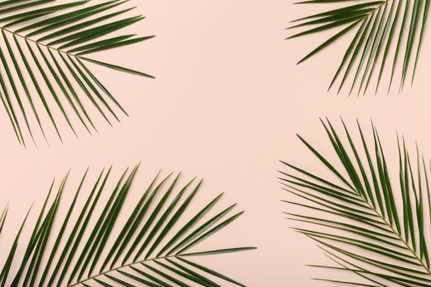 Zöld trópusi pálma levelek minta elszigetelt rózsaszín - Fotó, kép