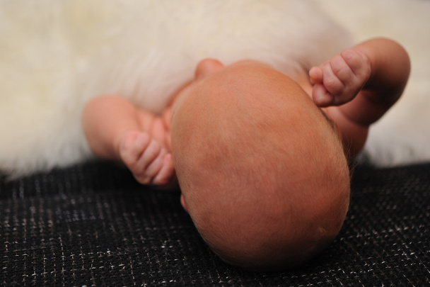 新しい生まれた赤ちゃん白い毛皮でカバー - 写真・画像