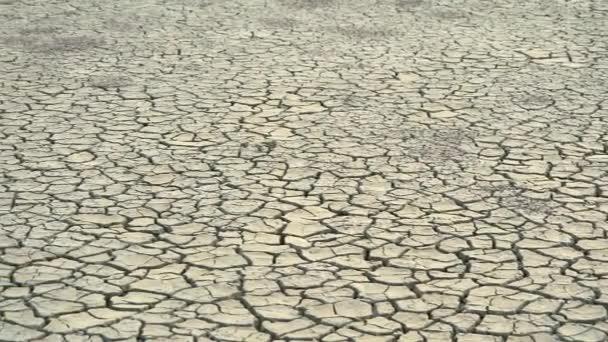 Globalne ocieplenie powoduje, że rośliny umierają, a sucha ziemia zostaje ostatecznie porzucona1 - Materiał filmowy, wideo