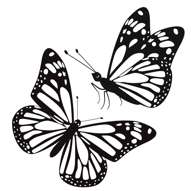 Set of two butterflies isolate on a white background. Vector image - Vector, Image