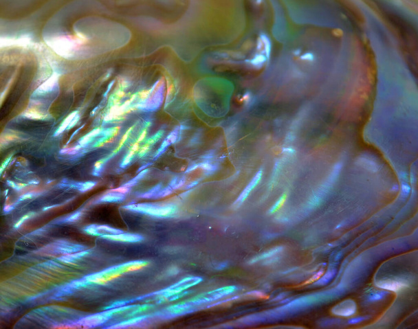  Texture photo perle naturelle irisée
 - Photo, image