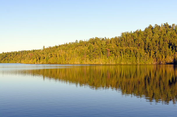 Evening Colors and Reflections in the North Woods - 写真・画像