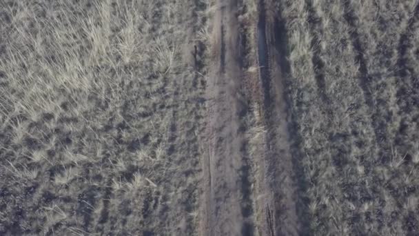video from a drone in the fields of Kazakhstan - Filmmaterial, Video