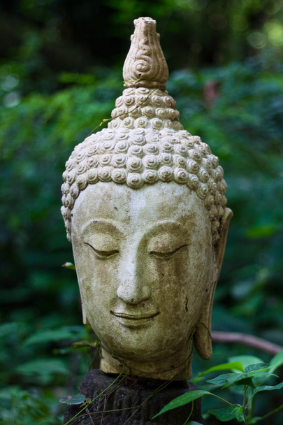 Head Buddha head In Wat Umong Chiangmai - Foto, imagen