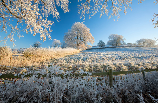 Terreni agricoli inglesi in inverno
 - Foto, immagini