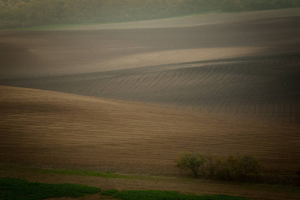Prachtige bruine Tsjechische Moravische velden in de herfst - Foto, afbeelding