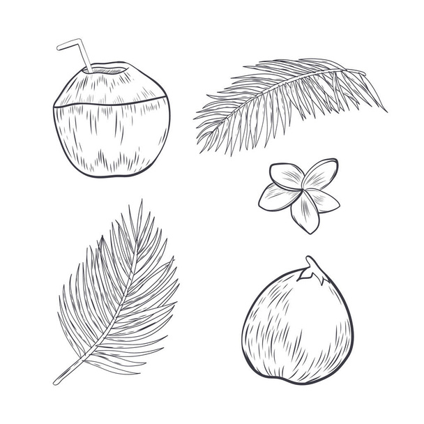 Ručně kreslený kokos a tropické prvky. Plumeria květiny a palmové listy izolované na bílém pozadí. - Vektor, obrázek