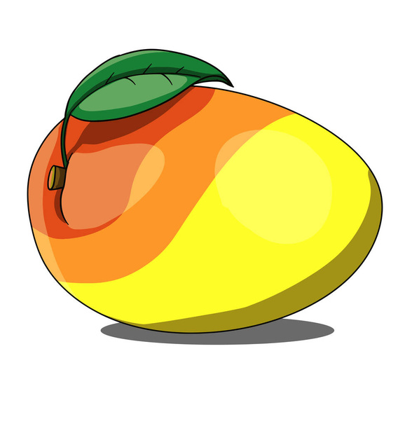 Isolated mango on white background - Vektör, Görsel