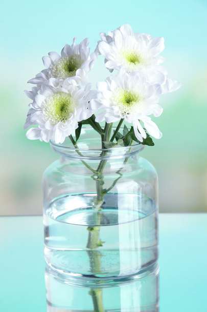 Flowers in bank on natural background - Foto, immagini