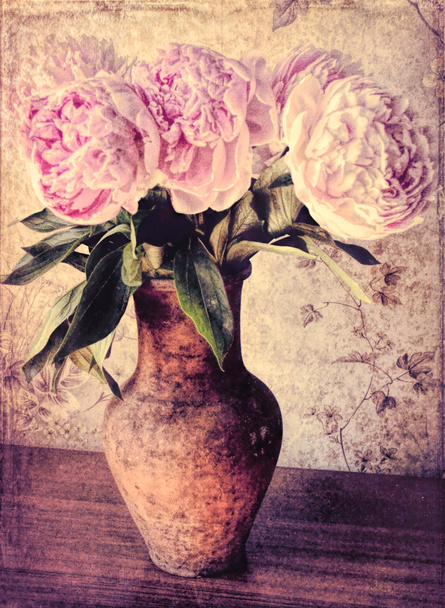 peonías suaves vintage flores
 - Foto, Imagen