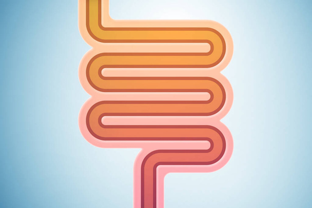 Schematic illustration of human intestines - Photo, Image