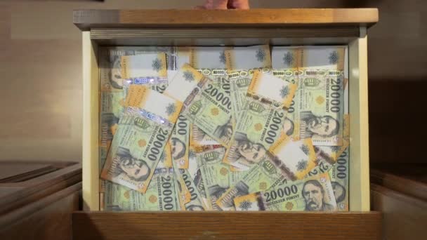 Banknotes Background, Hungarian Forints - Footage, Video