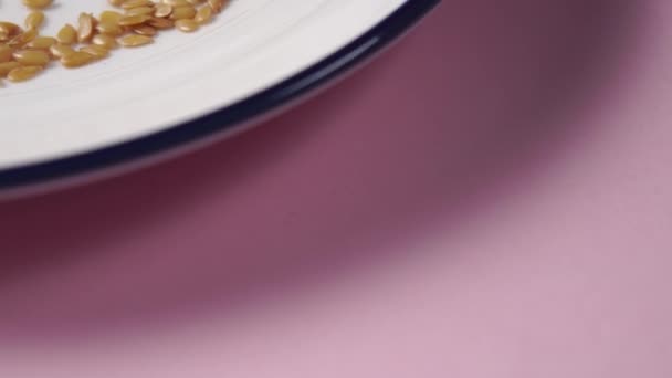 Flax seeds fall in a heap on a white plate with a blue border on a pink bright background. Dolly macro shot - Video