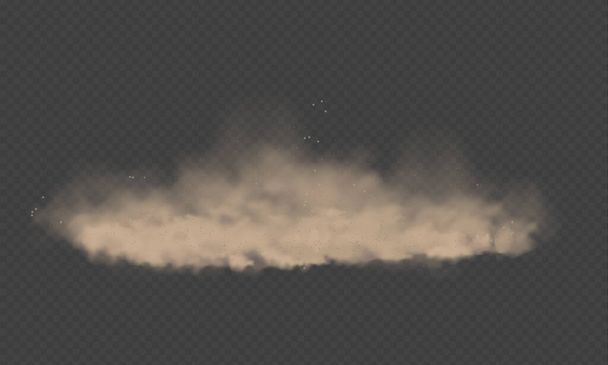 Staubwolke, Sandsturm, Pulverspray auf transparentem Hintergrund. Wüstenwind mit Staub- und Sandwolken. realistische Vektordarstellung. - Vektor, Bild