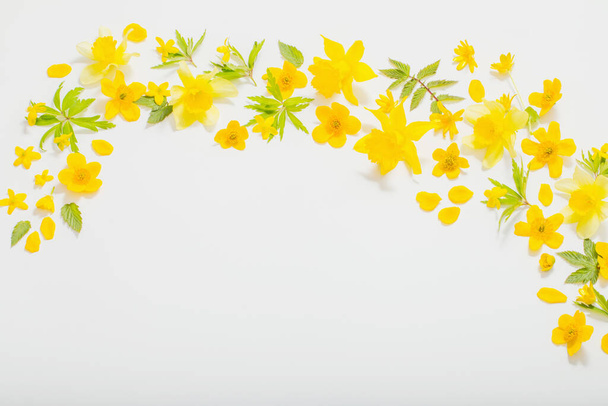 yellow spring flowers on white background - Zdjęcie, obraz