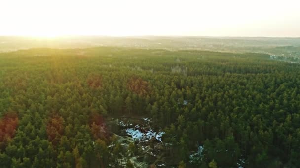 Aerial shot of natural resource, wood - Ukraine, Flying over of the sand, forest and lake. - Filmmaterial, Video