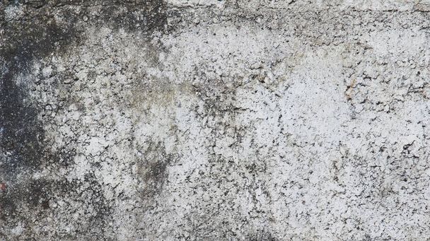Texture of gray polished cement for background  - Fotoğraf, Görsel