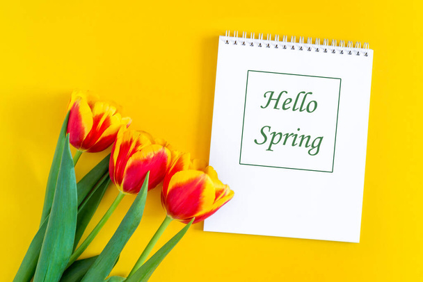 Hello spring text in Notepad and beautiful red and yellow fresh tulips. flat lay, top view. Flowers on a bright background. the concept of greeting cards, spring gentle mood. - Foto, Imagen