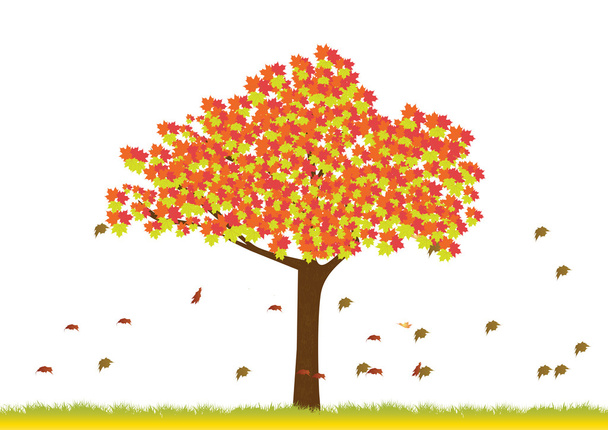 Árbol de arce en temporada de otoño
 - Vector, imagen