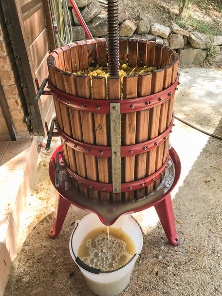 An old fashioned wooden barrel shaped grape press with the juice from the pressed grapes running into a white bucket - Photo, Image