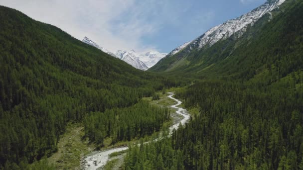 Glorious aerial panorama, snow Belukha Mount over milky river in dense forest - Footage, Video
