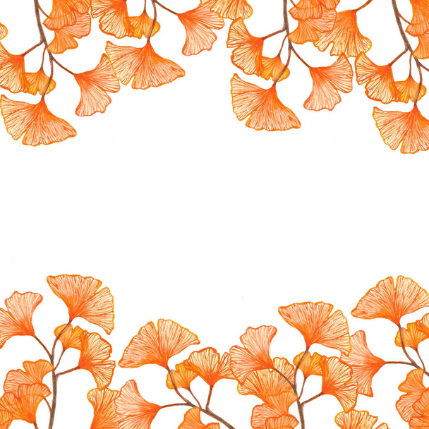 Aquarell-Kräuterborte mit Blättern von Ginkgo biloba, - Foto, Bild
