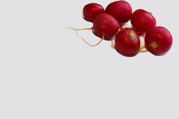 Red radish isolated white. Six radishes in the upper right uklu on a white background, with place for text. - Foto, Imagem