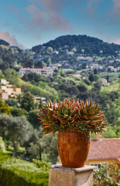 Cactus Pot no sul da França
 - Foto, Imagem