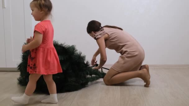 gelukkig moeder en dochter verzamelen kerstboom thuis. Voorbereiding van Kerstmis en Nieuwjaar - Video