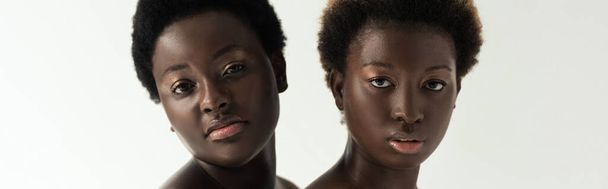 panoráma felvétel afro-amerikai barátnők nézi kamera elszigetelt szürke  - Fotó, kép