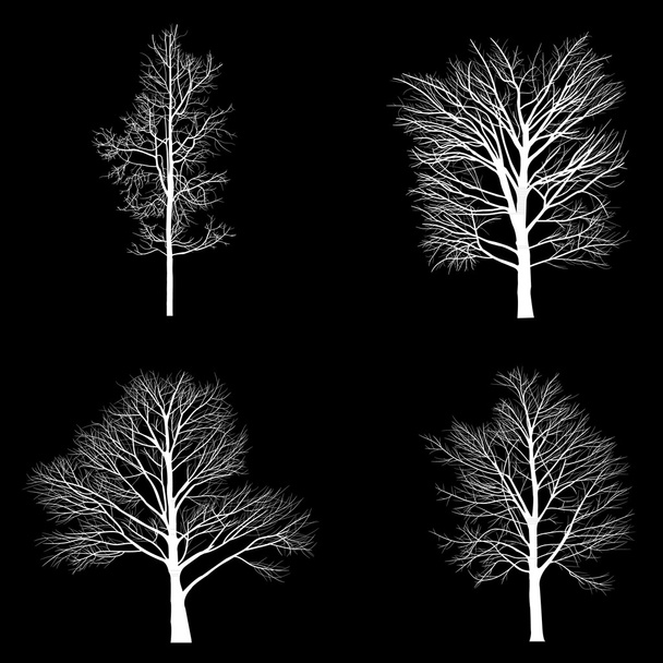 Puut, joissa kuollut oksa
 - Vektori, kuva