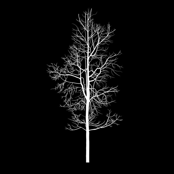 Árboles con rama muerta
 - Vector, imagen