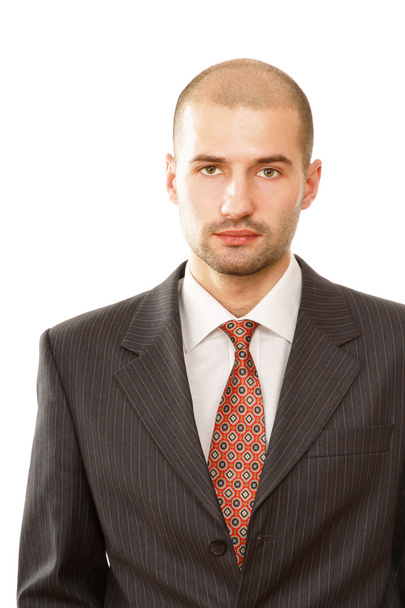 Closeup portrait of a successful businessman - Фото, изображение