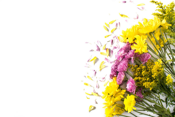 Желтые и фиолетовые цветы выделены на белом фоне. Вид сверху. копировальное пространство
 - Фото, изображение