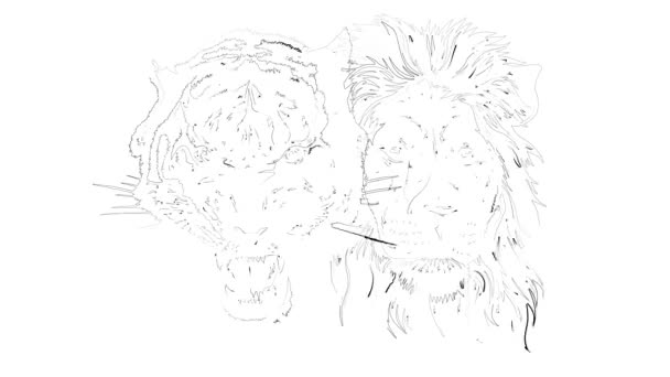 Объединённые лица льва и тигра
. - Кадры, видео