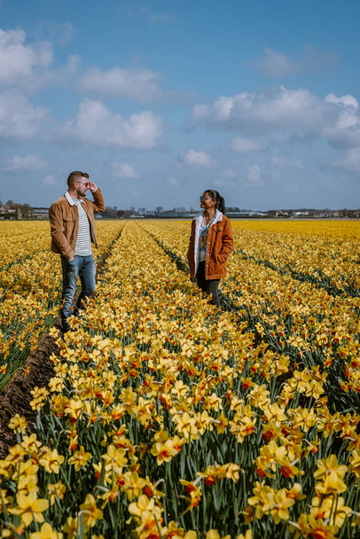 Sarı çiçek tarlası, sarı çiçek tarlasında yürüyen çift Hollanda 'nın baharında sarı nergis çiçekleri - Fotoğraf, Görsel