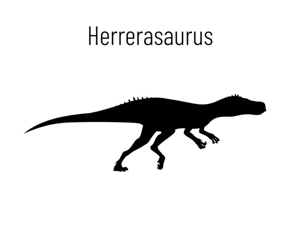Herrerasaurus. Theropoda dinosaur. Monochrome vector illustration of silhouette of prehistoric creature herrerasaurus isolated on white background. Stencil. Fossil dinosaur. - Vettoriali, immagini