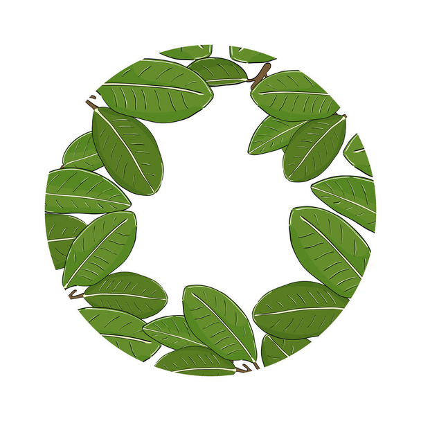 Round leaf frame. For banner. Green leaves in a circle with place for text. Hand drawn vector illustration. - Vektor, kép