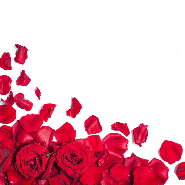 Fondo romántico con pétalos de rosa roja sobre blanco
 - Foto, Imagen