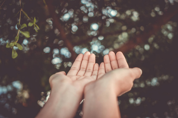 Las manos de la mujer se colocan juntas como rezando frente a la naturaleza fondo bokeh verde
. - Foto, imagen