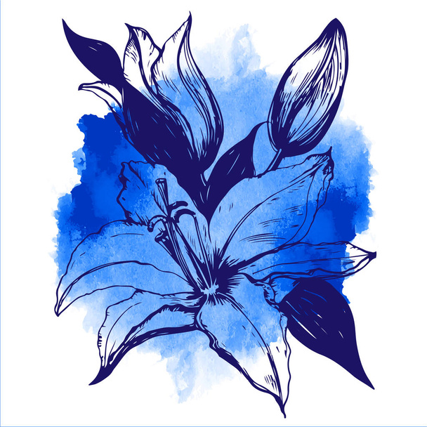 Card with blooming lily. Vector illustration. Watercolor background, deep blue - Vektör, Görsel