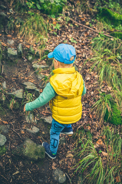 Малыш-пешеход в горах, семейные приключения, вид сверху. Маленький ребенок ходит в скалистом зеленом лесу. - Фото, изображение