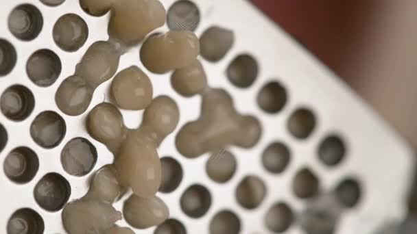 Macro: Detail shot van roestvrij staal pers knijpen een ruwe teentje knoflook. - Video