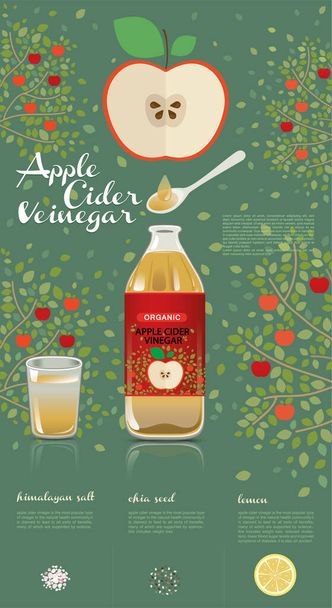 apple cider vinegar in a glass of freshwater, Himalayan salt, chia seed and lemon, infographic food, how to drink, benefit, flat design, vector illustration - Vector, Image