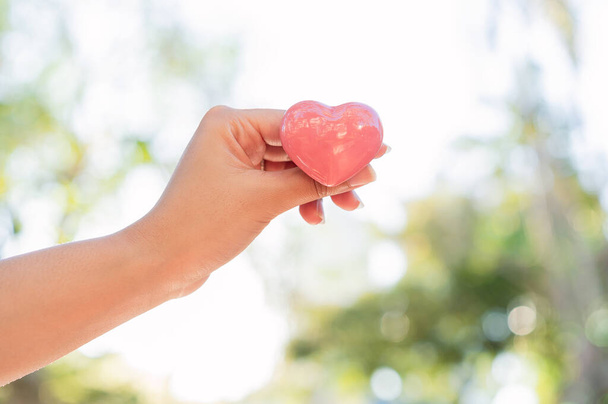Hand einer vielfältigen Asiatin mit rosa Herz in der strahlenden Nachmittagssonne im Freien mit grünem Baum-Natur-Bokeh und Kopierraum - gesunder Lebensstil, Beziehungen und Krankenversicherungskonzept - Foto, Bild