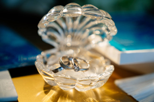 wedding rings in crystal casket in form of shells - Valokuva, kuva